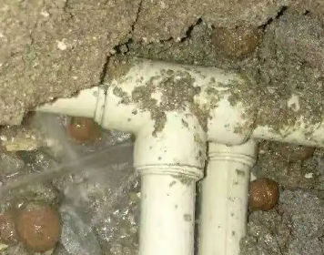 新市测漏水多少钱