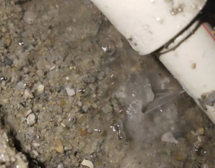 新市测漏水电话号码