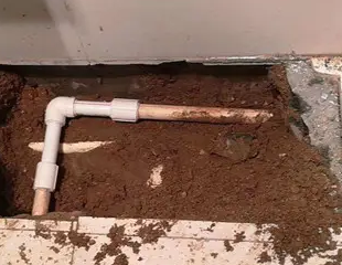 新市测漏水哪家好