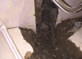 新市卫生间测漏水哪家好