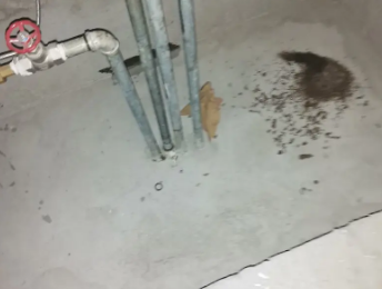 新市卫生间测漏水价格明细