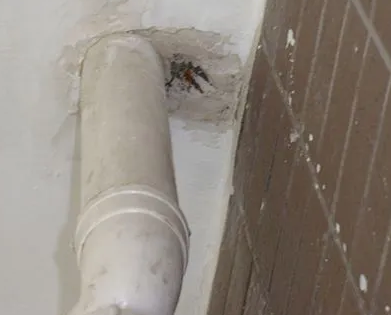 新市漏水检测哪家好